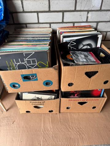 Heel veel lp’s en enkele singeltjes beschikbaar voor biedingen