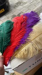 Diverse kleuren struisvogel veren 60cm, Hobby en Vrije tijd, Ophalen of Verzenden, Zo goed als nieuw