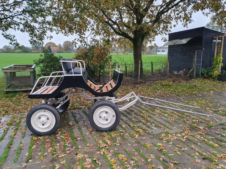 Leuke menwagen, Dieren en Toebehoren, Rijtuigen en Koetsen, Gebruikt, Overige typen, Pony