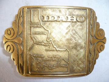 Riem Gesp metaal Idaho 9x5,5cm koperkleurig in nieuwstaat.   beschikbaar voor biedingen