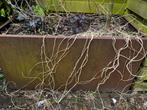 Cortenstaal plantenbak, 60 cm of meer, Tuin, Gebruikt, Rechthoekig