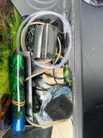 Vissenaquarium, Dieren en Toebehoren, Vissen | Aquariumvissen