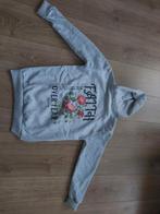 Mooie hoodies met bijbeltekst, Kleding | Dames, Truien en Vesten, Ophalen of Verzenden, Nieuw