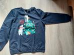 Kersttrui mt M, Ophalen of Verzenden, Zo goed als nieuw, Jongen, Trui of Vest