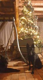 Antieke Arreslee, Ophalen