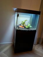Juwel Lido 120 Aquarium | Zwart, Dieren en Toebehoren, Ophalen, Gebruikt, Leeg aquarium