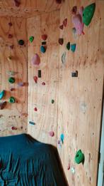 Klimgrepen Klimwand Klimplaten Klimkamer, Sport en Fitness, Ophalen of Verzenden, Gebruikt, Klimsport-accessoire