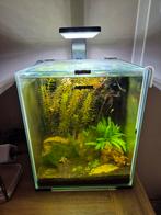 Aquael aquarium, Dieren en Toebehoren, Vissen | Aquaria en Toebehoren, Ophalen, Nieuw, Gevuld zoetwateraquarium