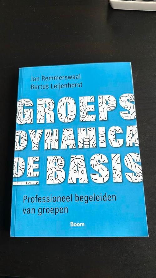 Bertus Leijenhorst - Groepsdynamica, de basis, Boeken, Psychologie, Nieuw, Ophalen of Verzenden