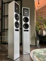 PIEGA COAX 30, Zo goed als nieuw, 120 watt of meer, Front, Rear of Stereo speakers, Ophalen