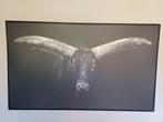 Intratuin canvas met lijst alleen ophalen, Ophalen of Verzenden