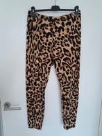 Legging maat XL stretch, Kleding | Dames, Leggings, Maillots en Panty's, Zo goed als nieuw, Legging, Zwart, Verzenden