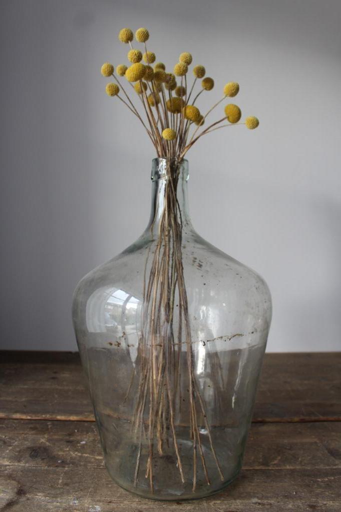 Brocante gistfles / bolfles / vaas XL Nr.2 *Pronck & Praal*, Antiek en Kunst, Curiosa en Brocante, Ophalen of Verzenden