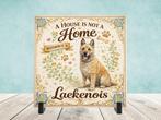 A House is Not a Home Without a Laekenois - Laekense Herder, Verzenden, Nieuw