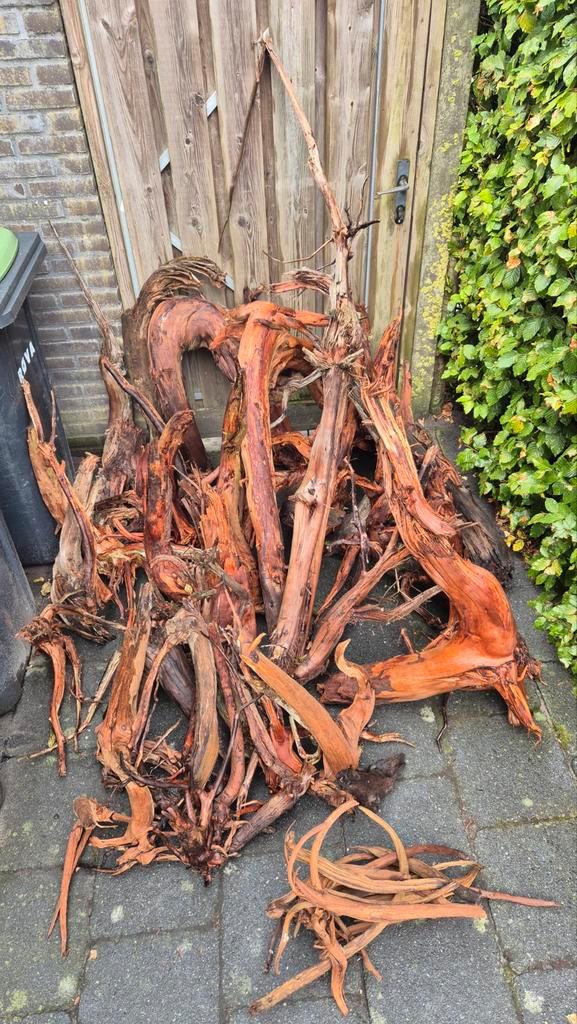 Prachtige stukken kienhout groot en klein, Dieren en Toebehoren, Vissen | Aquaria en Toebehoren, Ophalen