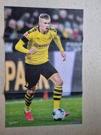 Poster Erling Haaland Borussia Dortmund 2019 VI, Verzamelen, Sportartikelen en Voetbal, Ophalen of Verzenden, Zo goed als nieuw