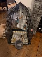 Vogelkooi parkiet/kanarie, Ophalen, Gebruikt, Metaal, Vogelkooi