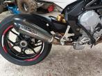 Demper mv agusta brutale 800 gpr poppy, Motoren