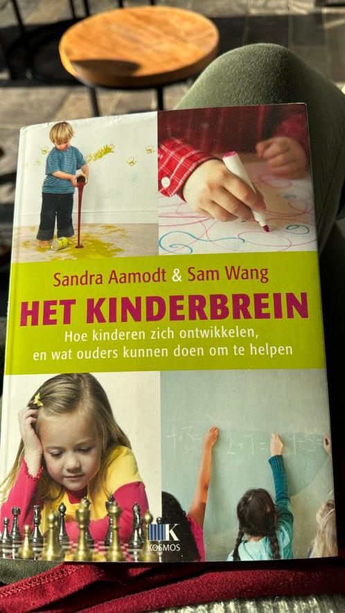 Sandra Aamodt - Het kinderbrein, Boeken, Wetenschap, Zo goed als nieuw, Ophalen of Verzenden