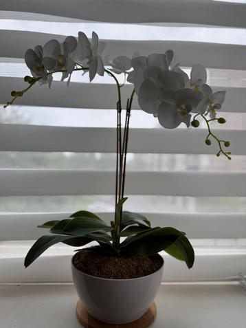 2-taks zijde orchidee kunstplant in witte sierpot beschikbaar voor biedingen