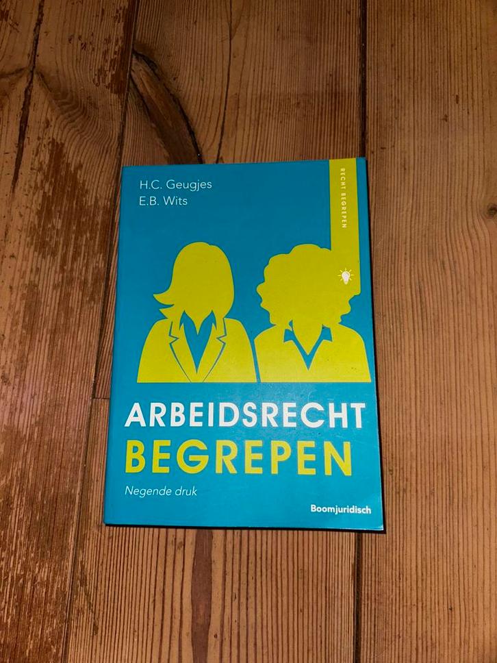 H.C. Geugjes - Arbeidsrecht begrepen, Boeken, Wetenschap, Zo goed als nieuw, Sociale wetenschap, Ophalen of Verzenden
