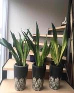 luxe kwaliteit terracotta binnen mooie bloempotten vazen, Rond, Binnen, Ophalen of Verzenden, Zo goed als nieuw