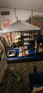 Maxx pett honden of katten kennel / kooi, Ophalen of Verzenden, 110 cm of meer, Minder dan 65 cm