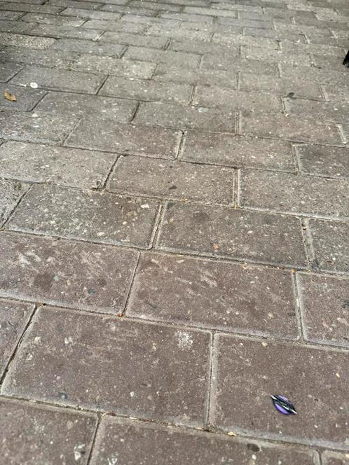 Klinkers en tegels, Tuin en Terras, Tegels en Klinkers, Gebruikt, Klinkers, Beton, 10 m² of meer, Ophalen