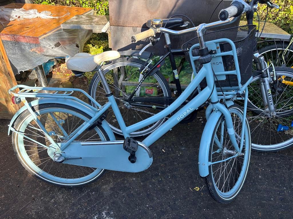 Diverse fietsen te koop: Kinderfietsen, Batavus, BSP, Gebruikt, Versnellingen, Batavus, 49 tot 53 cm