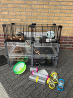 Ferplast multipla hamsterkooi, Ophalen, Kooi, 60 tot 90 cm, Zo goed als nieuw