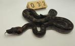 boa imperator Leopard (66% snow leopard) man, Slang, 0 tot 2 jaar