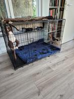 Bench, Dieren en Toebehoren, Hondenbenches, Ophalen, Zo goed als nieuw