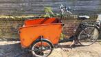 Te koop elektrische Bakfiets, Fietsen en Brommers, Fietsen | Bakfietsen, Ophalen, Gebruikt, 1 kind, Overige merken