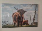 Schotse Hooglander Canvas - 120x80cm - Uniek!, Ophalen of Verzenden
