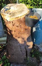 Houten Boomstam/Decoratie (3 stuks), kachelhout, Ophalen, Gebruikt, Hout, Overige typen