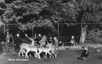 Baarn, Dierenpark, Verzamelen, Ansichtkaarten | Nederland, Ophalen of Verzenden, 1960 tot 1980, Gelopen, Utrecht