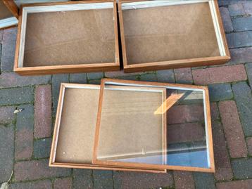 30 Insectenlades displaybak vitrines beschikbaar voor biedingen