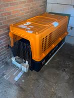 XL IATA hondenkennel/transportbox–vliegtuig&bench–12576cm, Ophalen, Zo goed als nieuw