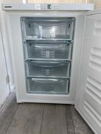 Keurige Liebherr vrieskast energieklasse A+++., Witgoed en Apparatuur, Ophalen of Verzenden, Zo goed als nieuw, Vrijstaand, Minder dan 60 cm