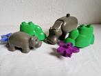 Duplo dierentuin safari dieren nijlpaard, Ophalen of Verzenden, Gebruikt, Duplo