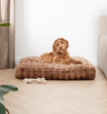 Hondenkussen beschikbaar voor biedingen