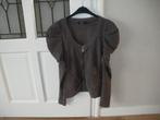 leuk grijs vest met pofmouw merk anna scott maat 38/40, Kleding | Dames, Ophalen of Verzenden, Zo goed als nieuw, Maat 38/40 (M)