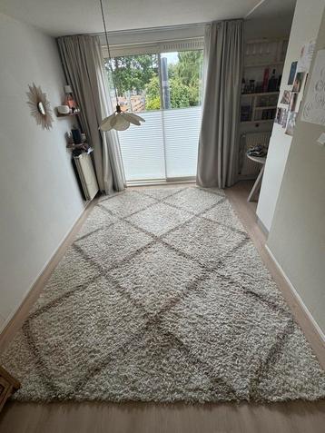 Vloerkleed 240/340