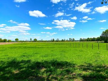 TE HUUR: WEILAND beschikbaar voor biedingen