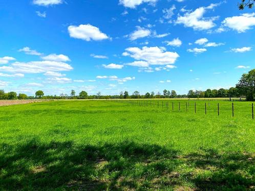 TE HUUR: WEILAND, Dieren en Toebehoren, Stalling en Weidegang, Stalling, Weidegang, 1 paard of pony