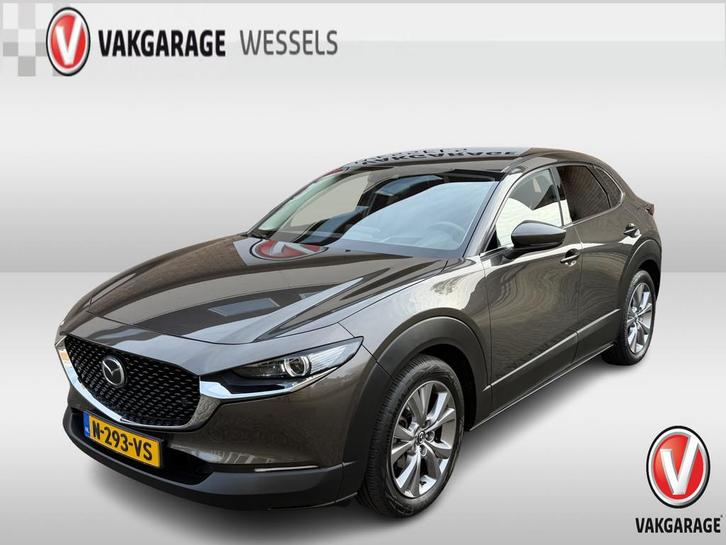 Mazda CX-30 2.0 e-SkyActiv-X M Hybrid Comfort | PDC | Camera, Auto's, Mazda, Bedrijf, Te koop, CX-30, ABS, Achteruitrijcamera