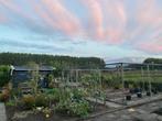 Moestuinen te huur in Harmelen, Ophalen, Nieuw