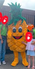 Mascotte pak Ananas, Hobby en Vrije tijd, Ophalen of Verzenden, Zo goed als nieuw