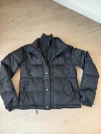 Mexx winterjas kort model maat 38, Kleding | Dames, Jassen | Winter, Ophalen, Zo goed als nieuw, Maat 38/40 (M), Zwart