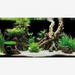 sf deco poster g3 100x49 cm €7,15, Ophalen of Verzenden, Nieuw, Plant(en), Steen of Hout